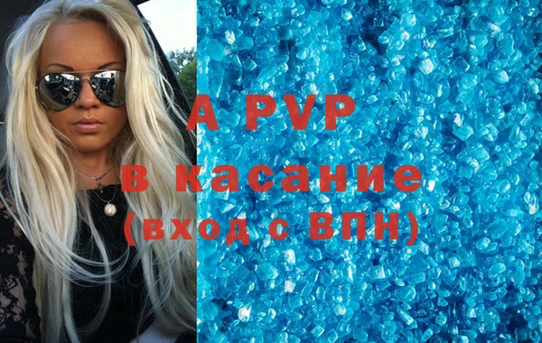 сатива Беломорск
