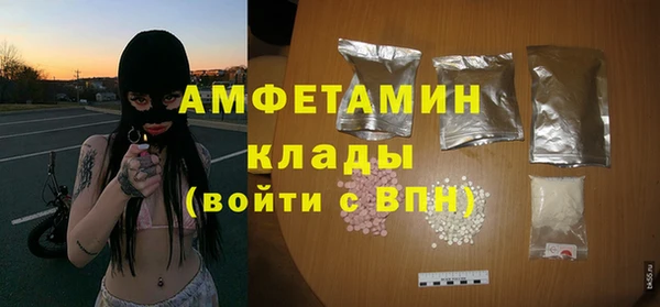 сатива Беломорск