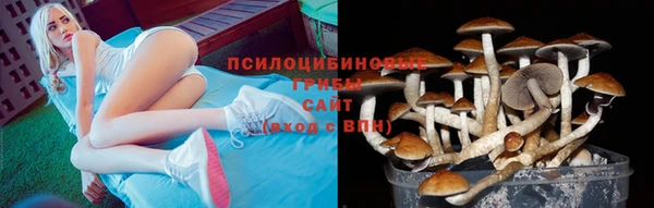 бутират Богданович