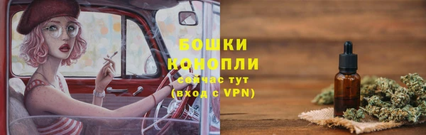 сатива Балахна