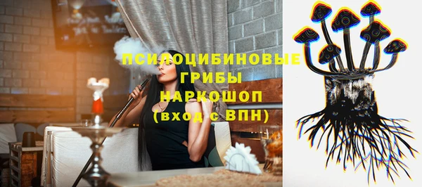 сатива Беломорск